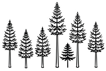 Obraz premium ponderosa line art elegant forest tree drawing in black style