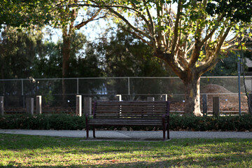 Empty wooden park bench in a shady part of a suburban park, with no people, as the setting sun illuminates patches of grass and tree branches nearby
