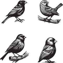 Colorful Canary Vector Illustration – Bright Songbird Design for Nature and Art Projects
