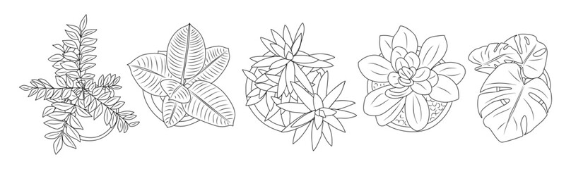 Set of different house plants top view. Cactus, aloe, monstera, palms black line art icons for landscape, architectural, interior design. Hand drawn Vector sketch isolated on white background
