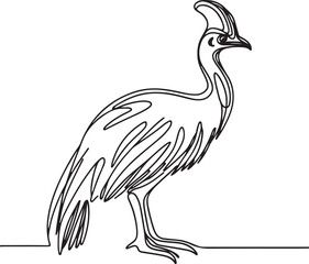 Vector Art of Cassowary Bird in Line Drawing