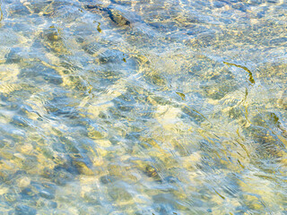 春の川　水の流れアップ16