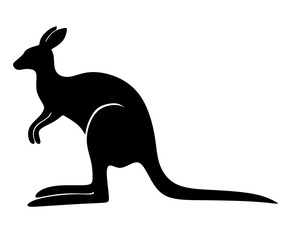 kangaroo vector illustration