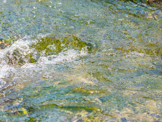 春の川　水の流れアップ18