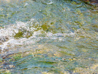 春の川　水の流れアップ19