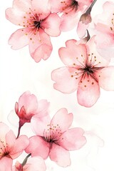 Artistic watercolor painting showing close up pink cherry blossom flowers