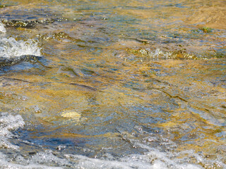 春の川　水の流れアップ24