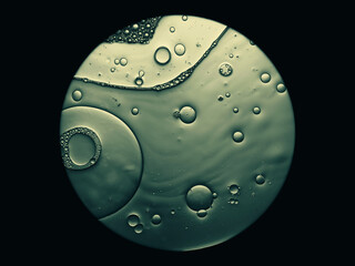microscope view of cells or air bubbles in liquid, science background