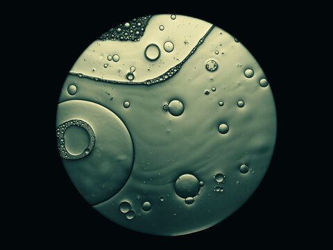 microscope view of cells or air bubbles in liquid, science background