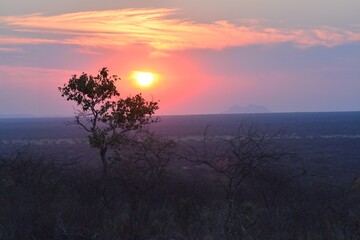 Sunset in africa Savanna
