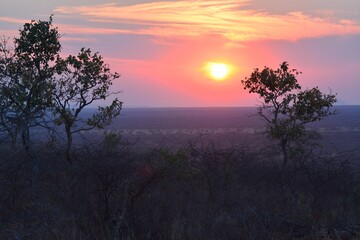 Sunset in africa Savanna