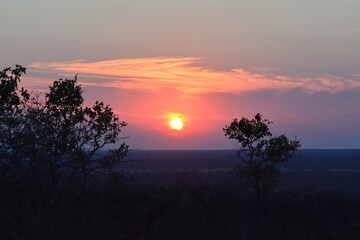 Fototapeta premium Sunset in africa Savanna