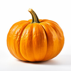 Obraz premium Single Orange Pumpkin Autumn Harvest Isolated White Background
