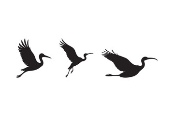 Flying Bird Silhouette Vector Clipart Long Beak Avian Wildlife Design