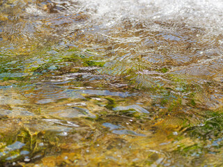 春の川　水の流れアップ46