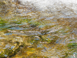 春の川　水の流れアップ49