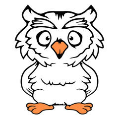 Owl night bird wise forest animal wisdom cuckoo Isolated Vector Graphic Design Illustration
