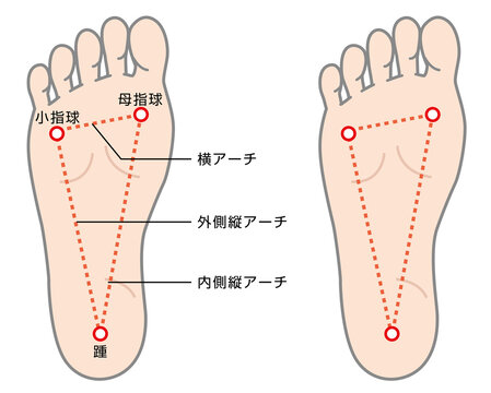 足裏アーチの説明イラスト