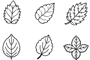 Mulberry Leaf Line Art Drawing for Nature Inspired Artwork 