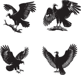 Turkey Vulture Vector Illustration – Detailed Scavenger Bird Design for Wildlife and Nature Projects