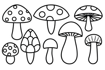 Mushrooms Line Art Drawing for Botanical Style Print Ideas 