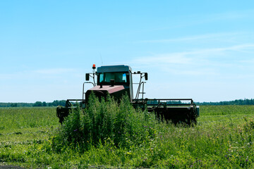 A tractor on a combine harvester is harvesting green grass