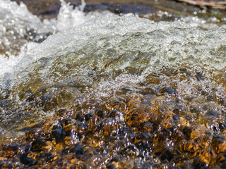 春の川　水の流れアップ77