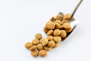 A spoonful of dog food is shown on a white background
