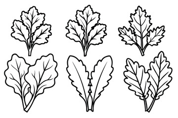 Mustard Green Leaf Line Art Detailed Sketch for Printing  