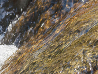 春の川　水の流れアップ91