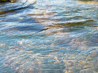 春の川　水の流れアップ109