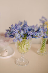 Blue Grape Hyacinths in a Transparent Glass Vase on Neutral Background