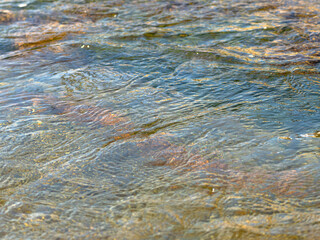 春の川　水の流れアップ111