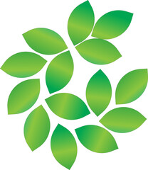 Fototapeta premium green leaves vector
