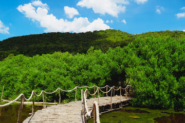 Obraz premium Wooden pier or bridge at Sattahip, Thailand. A walkway bridge made of wooden planks and leading.