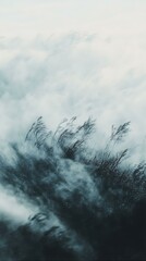 Fototapeta premium Misty Mountain Grasses in Windswept Solitude of excellence in splendor beyond compare with grace