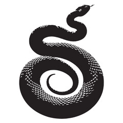 Poised Rattlesnake silhouette, coiled and ready to strike – Rattlesnake illustration – Minimalist Rattlesnake vector – Snake silhouette

