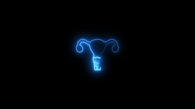This is female reproductive system and is consisted of very. Uterus and vagina. The system becomes reproductive after puberty
