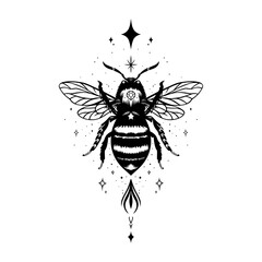 Biene Pfeil. Filigranes Vektor Design mit Insekten im Fineline Tattoo Style.