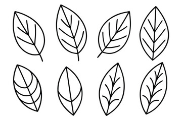 Orange Leaf Line Art Illustration Elegant Design for Unique Artwork  