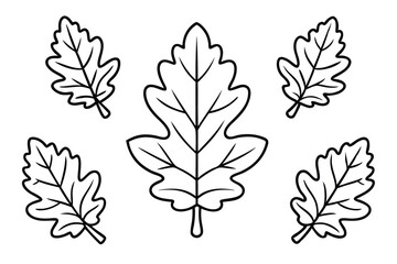 Obraz premium Oak Leaf Line Art Simple Yet Beautiful Artwork for Prints 