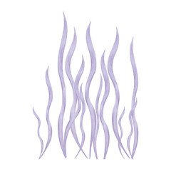 Elegant underwater plant, seaweed. Watercolor and marker illustrations. Sea purple botanical algae. Hand drawn isolated art. Ocean flora shape. Suitable for ecology, kids room, tourism themes