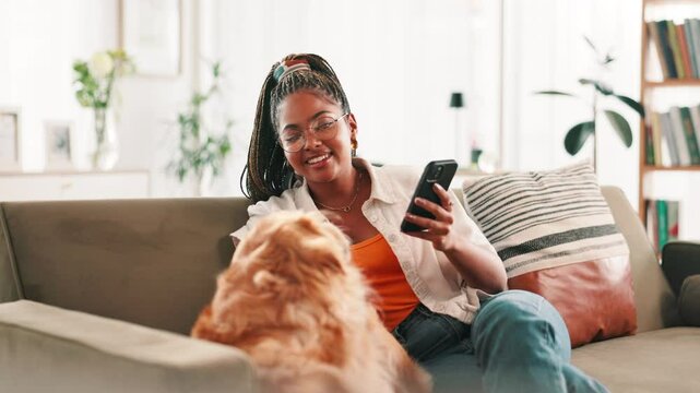 Dog, phone and relax with black woman on sofa in living room of home together for communication. App, mobile or social media with Labrador and pet owner in apartment for weekend bonding or loyalty