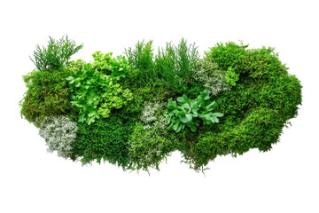 Obraz premium Lush green moss wall art vibrant natural textures perfect for home decor adds a touch of nature s isolated on transparent background