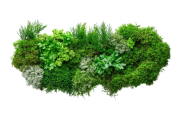Lush green moss wall art vibrant natural textures perfect for home decor adds a touch of nature s isolated on transparent background