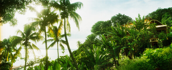 Palm trees covering a small bungalow in Morro De Sao Paulo, Tinhare, Cairu, Bahia, Brazil