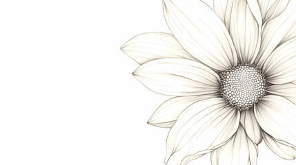 Fototapeta premium drawing a daisy flower illustration