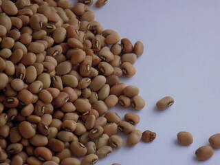 Pile and heap of a dried Red color Organic Cow Pea or Alsande Kalu in a white background.