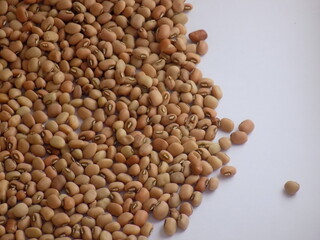 Pile and heap of a dried Red color Organic Cow Pea or Alsande Kalu in a white background.