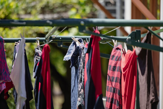 Colourful shirts drying on a line in a sunny garden with vibrant greenery in the background